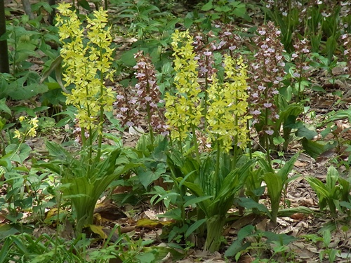 c0223117_9472410.jpg