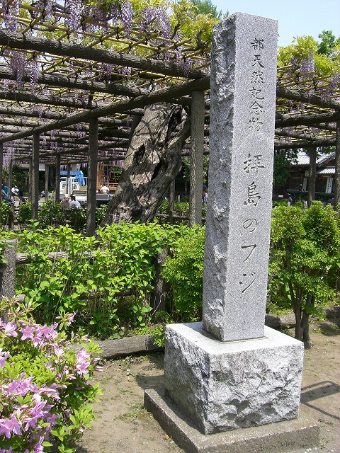 f0207320_16323581.jpg