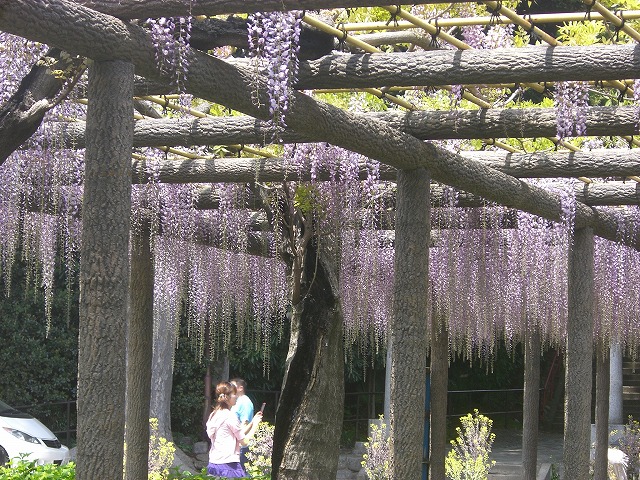 f0207320_1632893.jpg