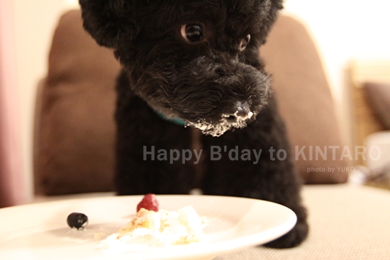 Happy B\'day *KINTARO*_c0199623_2019268.jpg