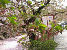 b0147224_20513090.jpg