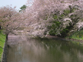b0147224_2051529.jpg
