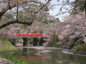 b0147224_2054377.jpg