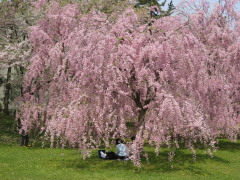b0147224_2056301.jpg