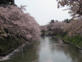 b0147224_20575595.jpg