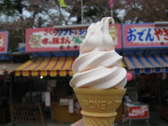 b0147224_21294121.jpg