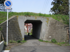 b0147224_23524854.jpg