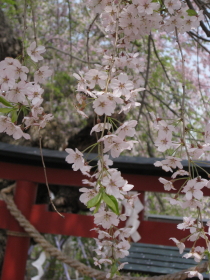 b0147224_2357483.jpg