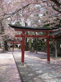 b0147224_23582918.jpg