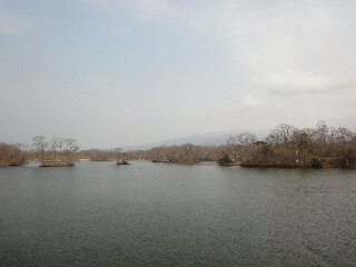 桜タビ2010☆函館⑨～千の風になって～_f0181524_22381139.jpg