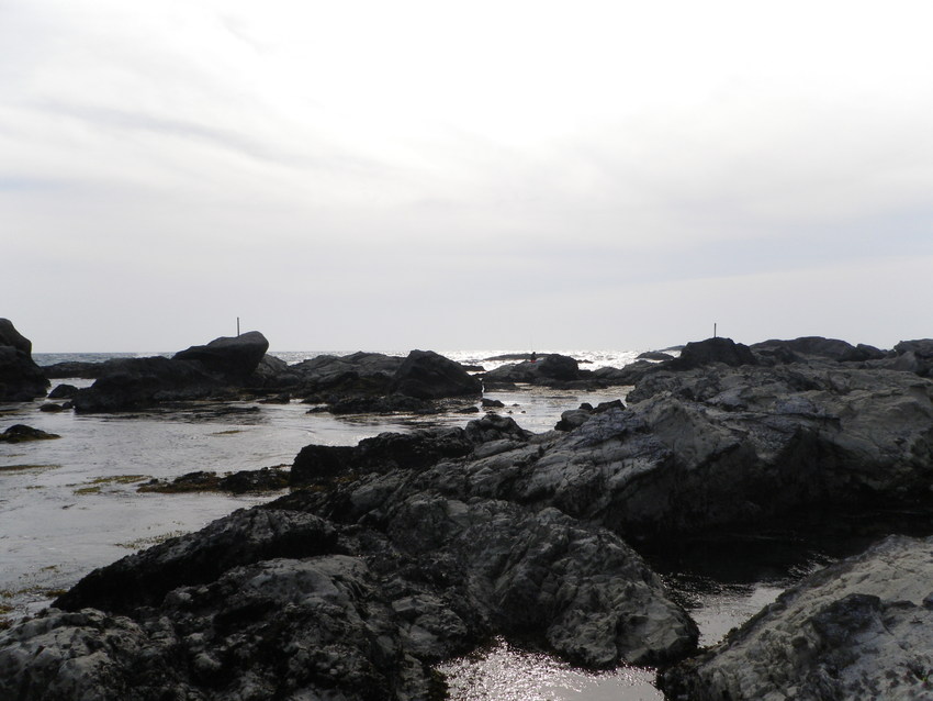 b0121425_08224.jpg