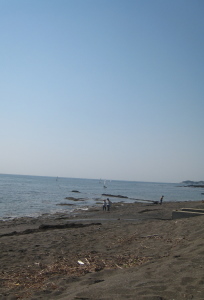 f0054025_916118.jpg