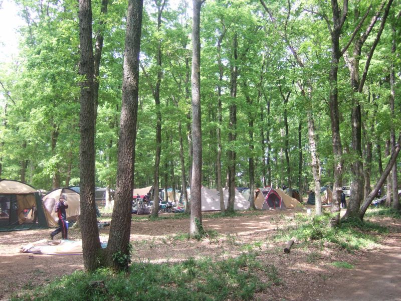 2010初キャンプ_a0038328_23543430.jpg