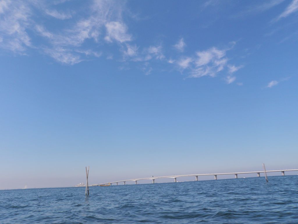 b0173629_22324221.jpg