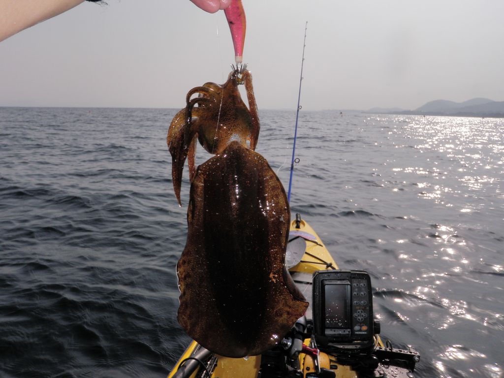 b0173629_2235740.jpg