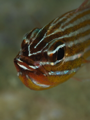 b0100730_20491837.jpg