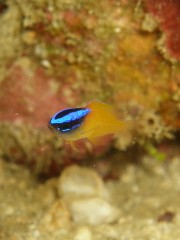 b0100730_20502640.jpg