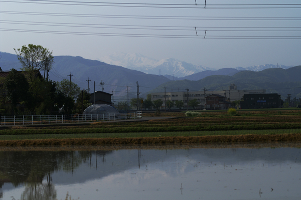 b0177233_149083.jpg