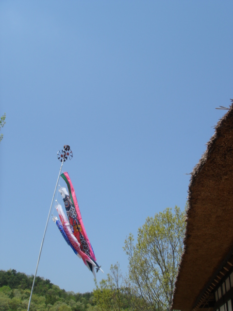 c0100534_1061439.jpg