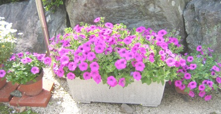c0118235_2136849.jpg
