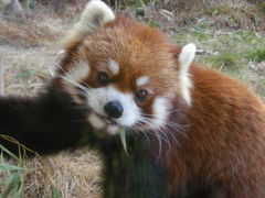 c0222635_1310966.jpg