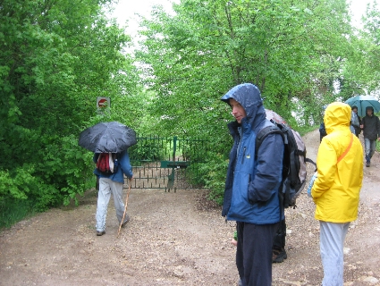 雨の日の散歩　～　ミジャーナからサン・ピエートロまで_f0234936_22485081.jpg