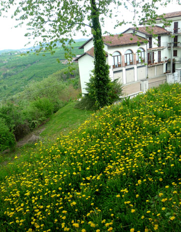e0129137_23522990.jpg