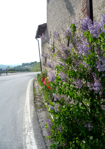 e0129137_8222023.jpg