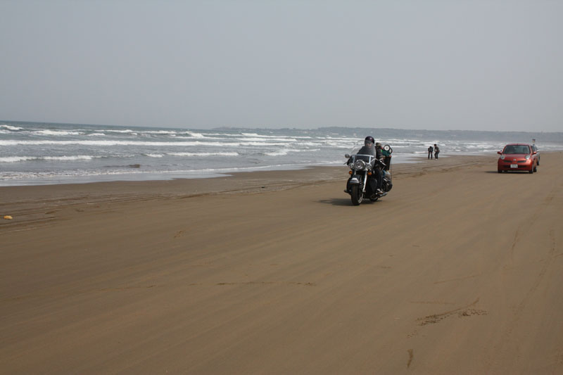 f0012637_1165230.jpg