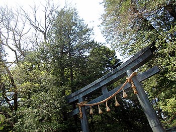 c0088739_22162313.jpg