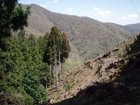 d0110641_2215518.jpg