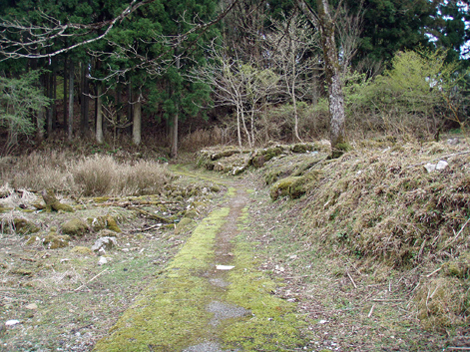 「1041.0kmの旅」-1　東西合同ボトル・ディギング_d0110641_2224030.jpg