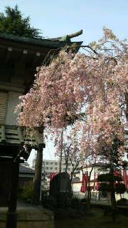 e0080641_23595760.jpg