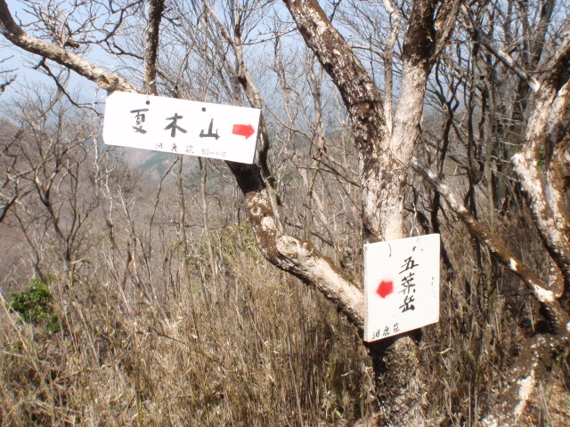 b0168843_16582736.jpg