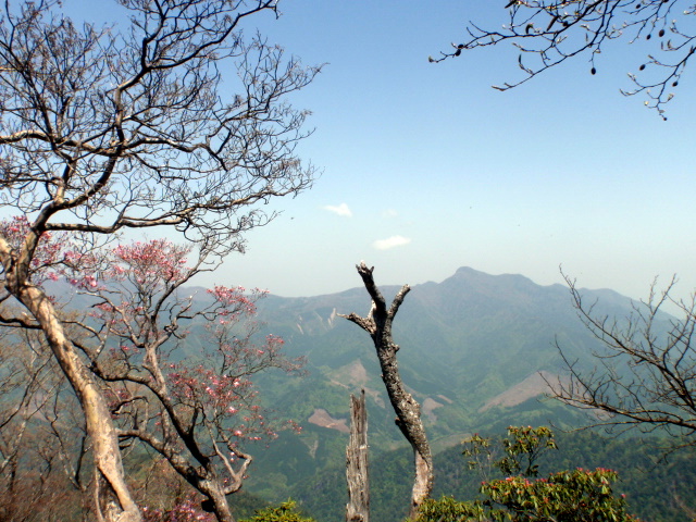 b0168843_1774895.jpg