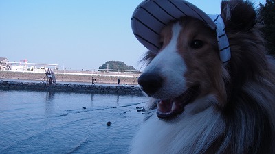 野島公園へ♪_e0195743_14544996.jpg