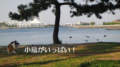 野島公園へ♪_e0195743_14551172.jpg