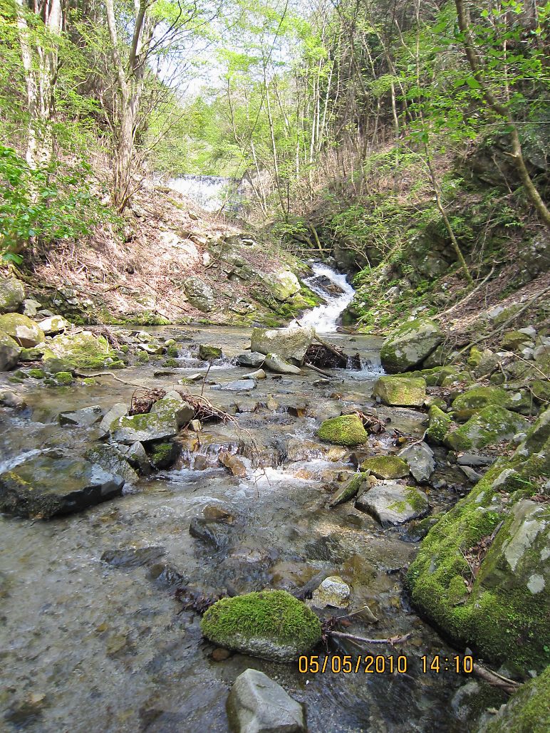 c0008948_14492565.jpg