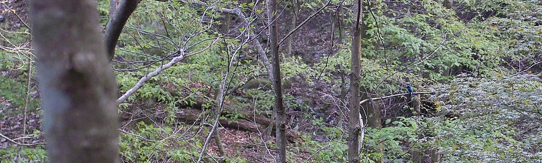 c0008948_168592.jpg