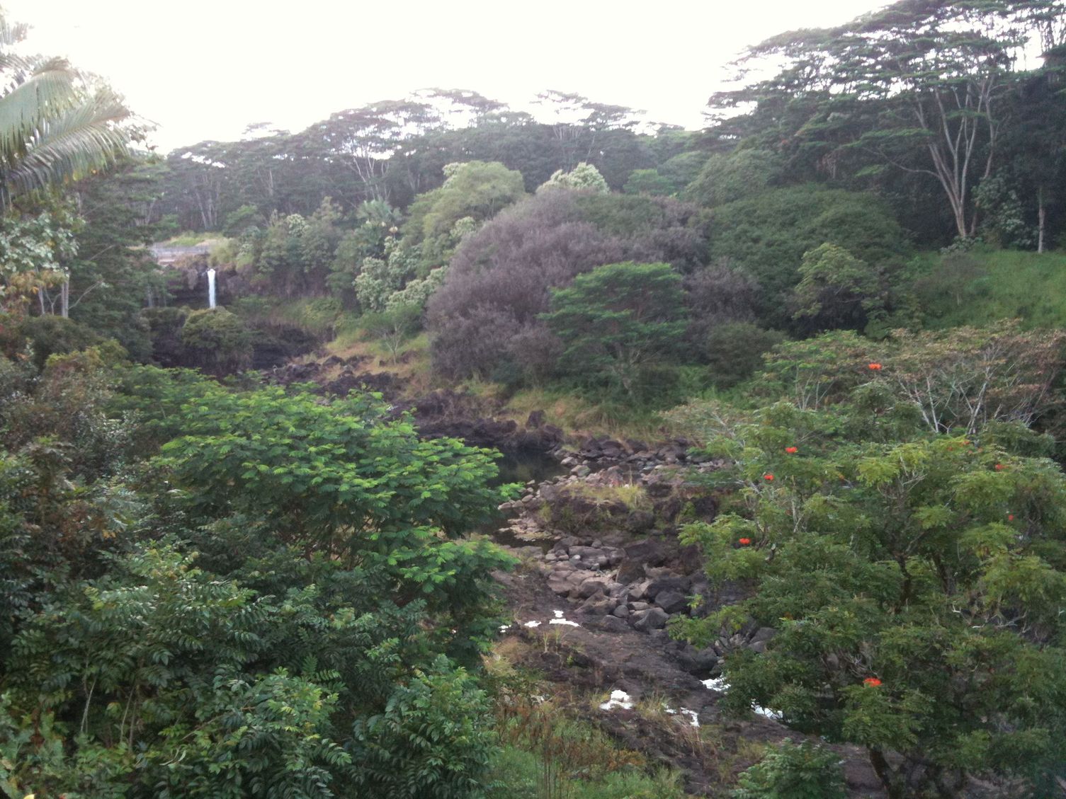 e0076349_22415967.jpg