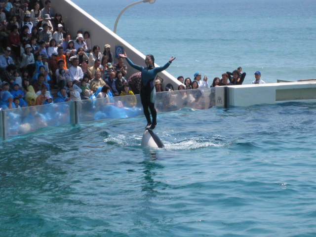 c0139253_23204164.jpg