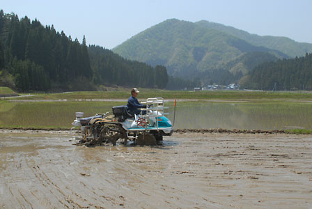 c0145453_1654121.jpg