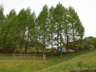 c0170957_13314886.jpg