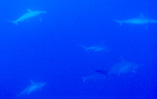 d0113459_15142135.jpg