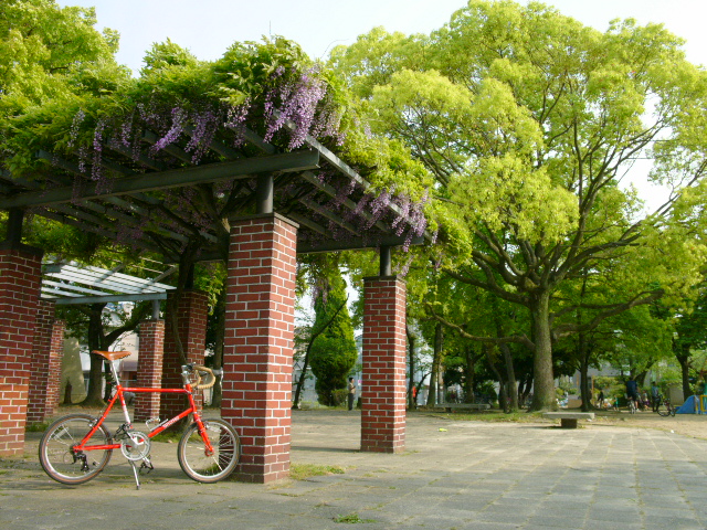 f0209159_1691196.jpg