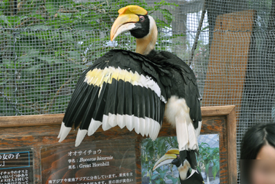 b0079661_22581646.jpg