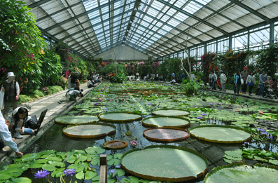 b0079661_23113492.jpg