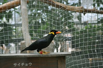 b0079661_233257.jpg