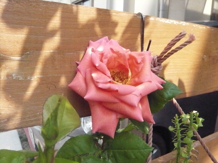 f0222763_91471.jpg