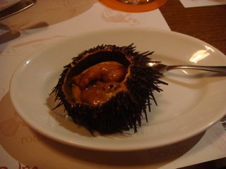 2010.5.6 終わってしまった連休_a0083571_1915134.jpg